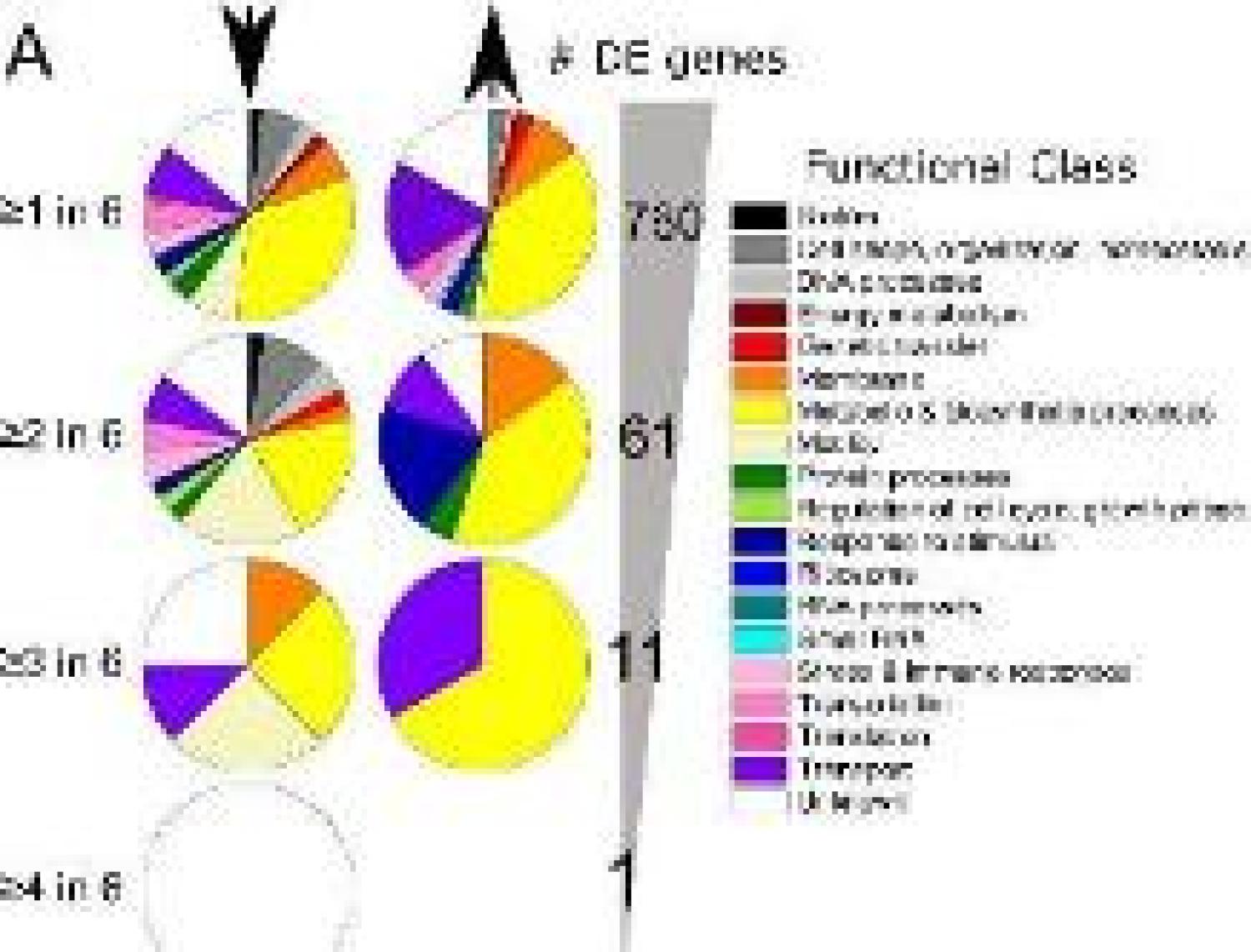 Diagrams on the experiment