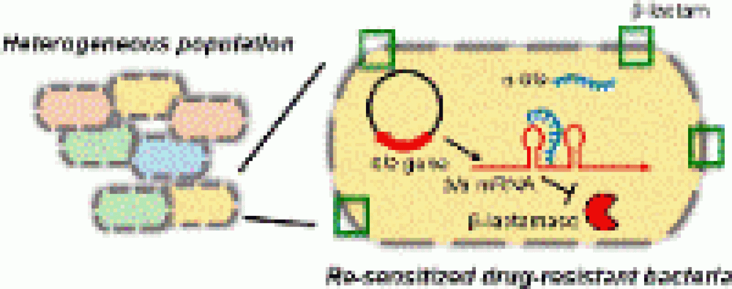 Some cell/molecule diagram in detail