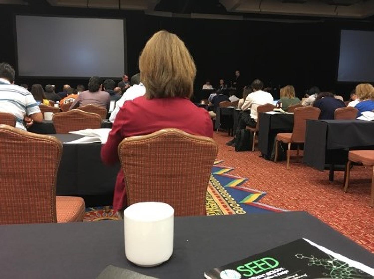 Anushree at the conference