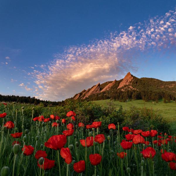 Flatirons