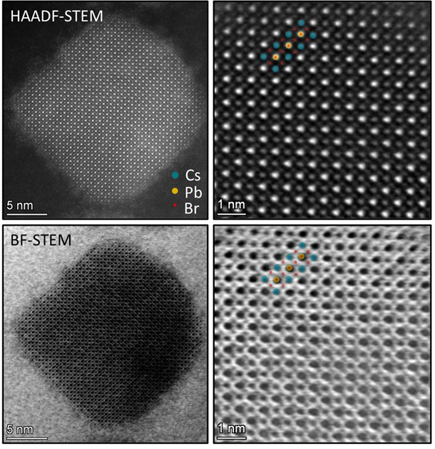 Atomic resolution images of a novel lead-halide perovskite nanocrystal as a photocatalyst