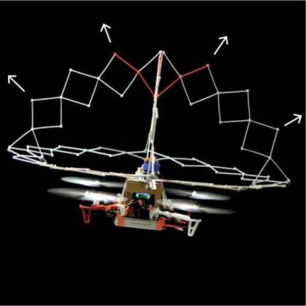 Pufferfish-inspired robot could improve drone safety