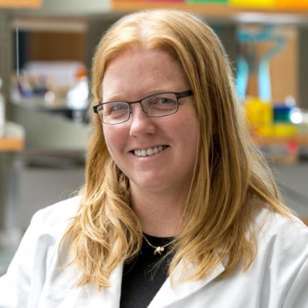 Anseth earns international recognition with L’Oreal-UNESCO For Women in Science award