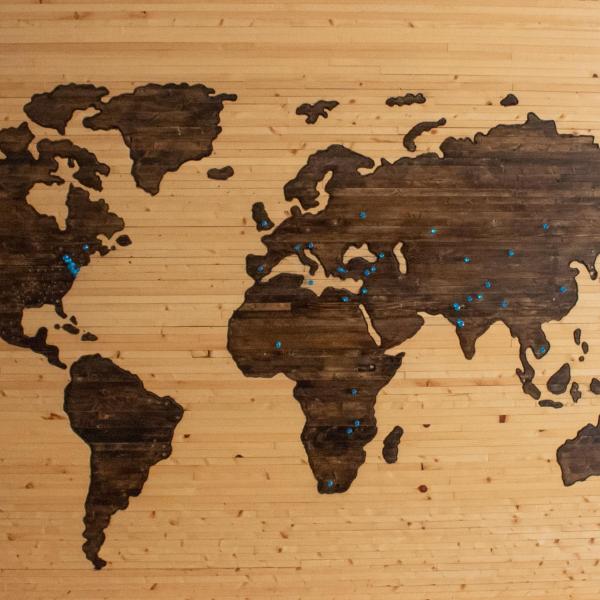 World Map