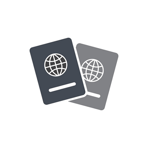 Visual Compliance (Concur) travel system