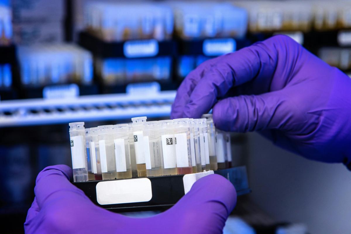 Researcher gloves