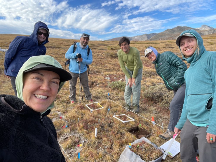 Researchers at Niwot Ridge