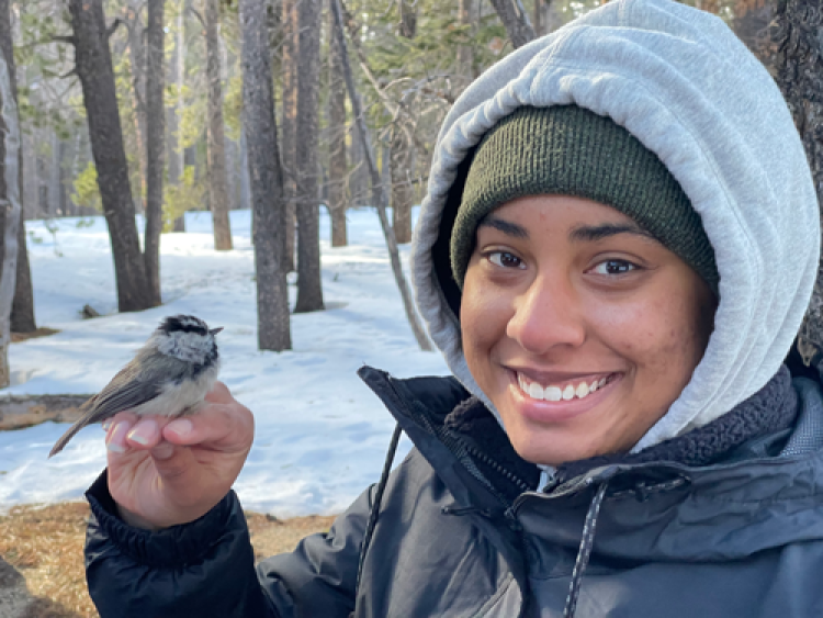 A researcher holding a chickadee