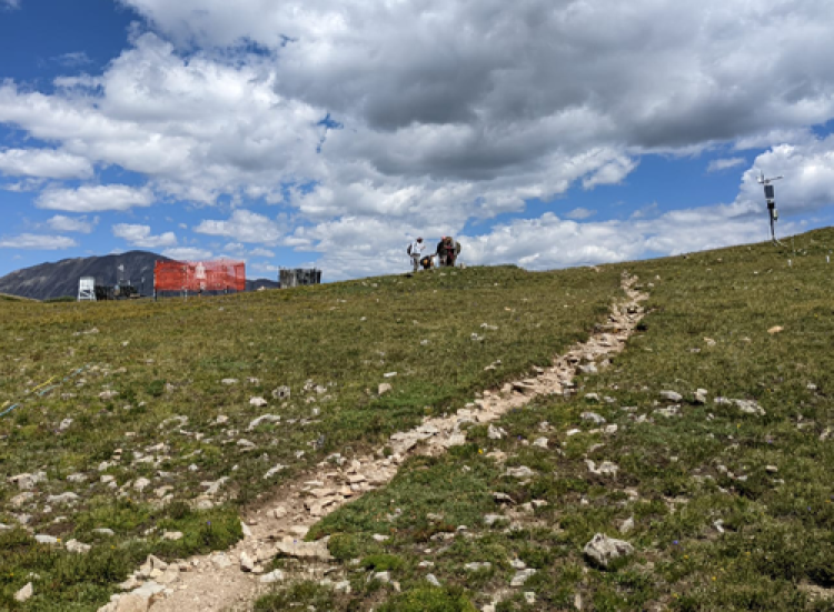 Niwot Ridge
