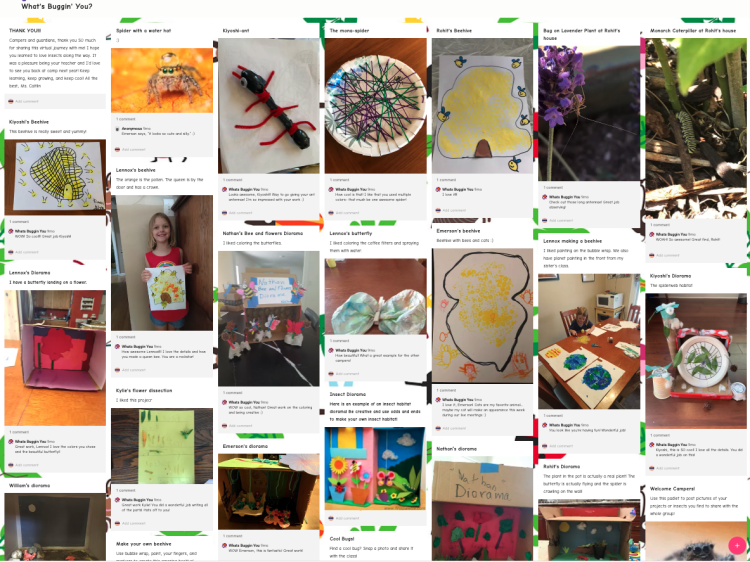 Screen shot of student submitted photos and comments related to bugs