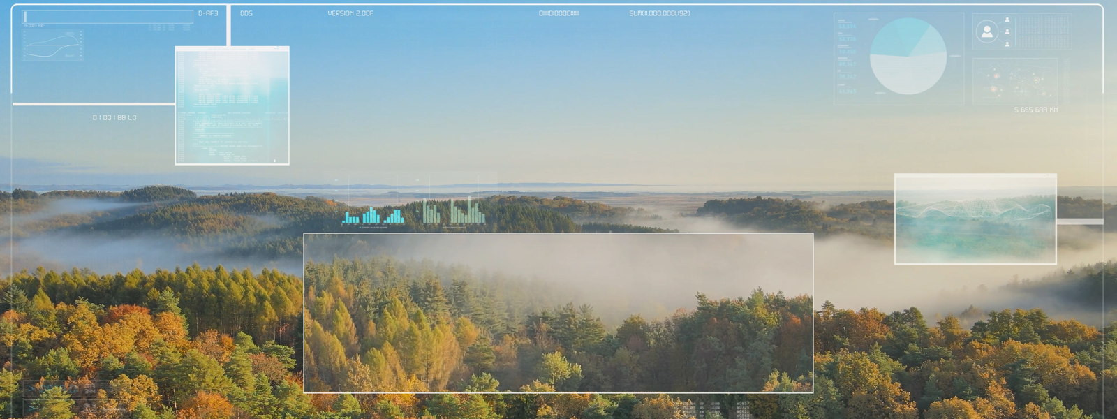 Digital HUD for analyzing the nature of mixed forests