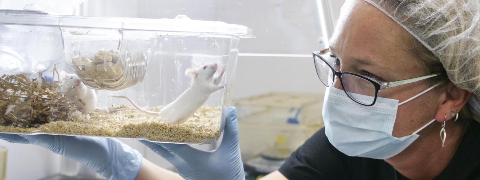 Animal Care Technician
