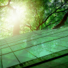 Sustainable glass office building with tree for reducing carbon dioxide