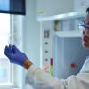 Beer waste transformed into energy-efficient window covering
