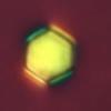 Scientists offer designer ‘big atoms’ on demand