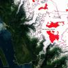 Mendenhall Glacier