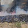 Monarch Fire Image