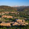 2022 Research & Innovation Office Faculty Fellows cohort unveiled