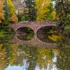 Varsity bridge in fall