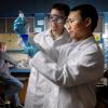 Scientists in lab