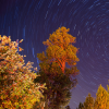 Research & Innovation Week returns to campus Oct. 17–22