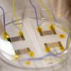 New technology diagnoses sickle cell disease in record time
