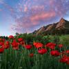 Spring Flatirons