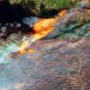 The key triggers of 2017's costly wildfire season