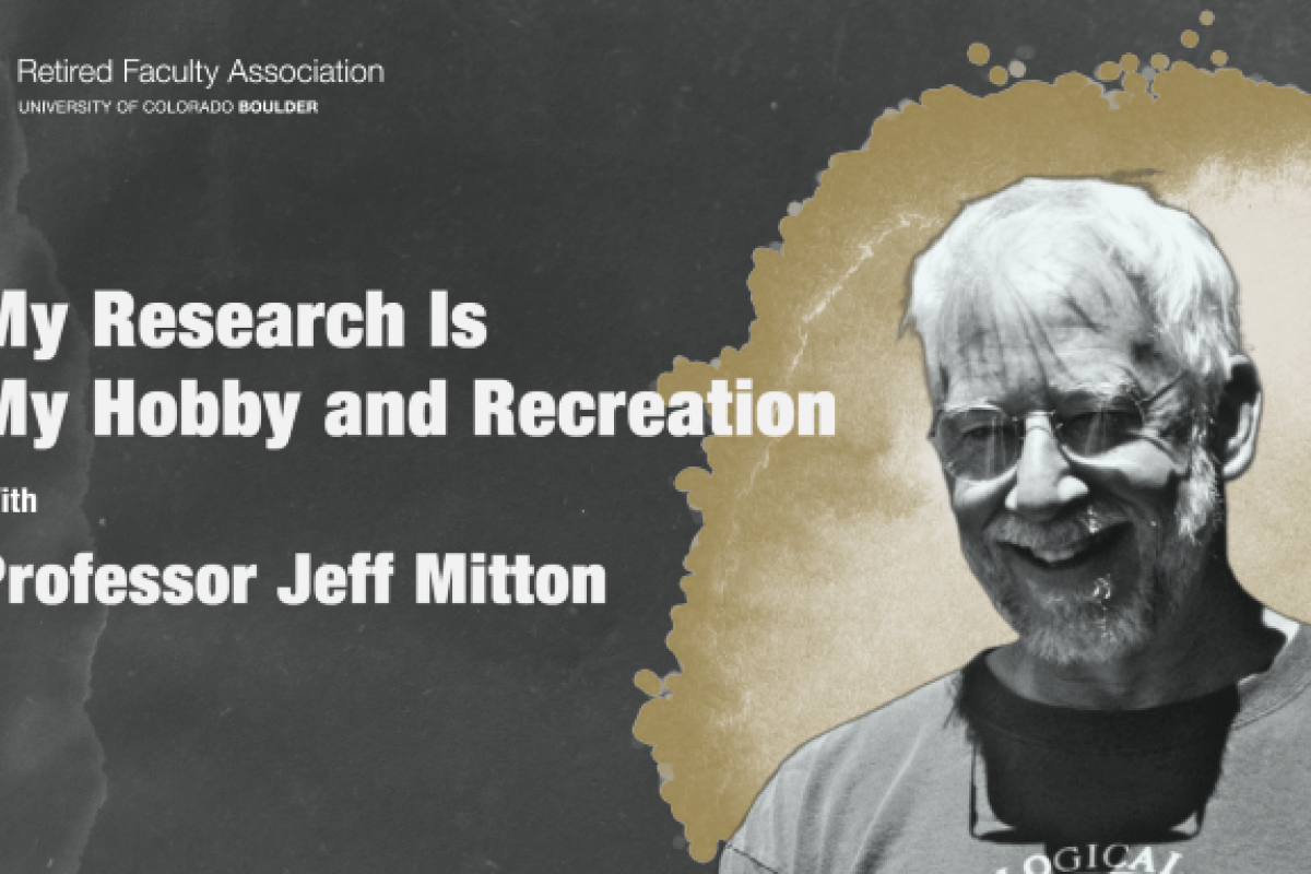 Jeff Mitton Banner