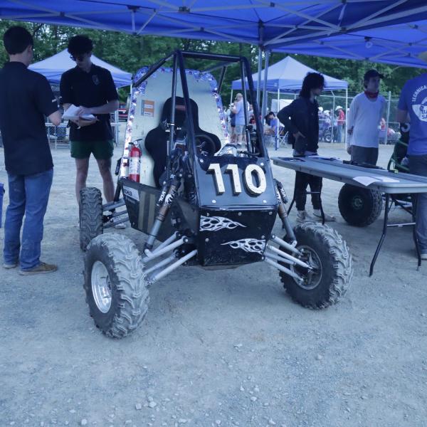 In the Paddock