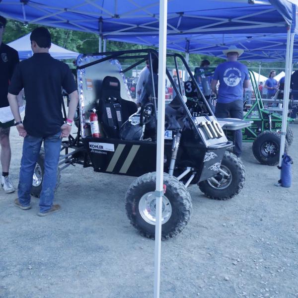 In the Paddock