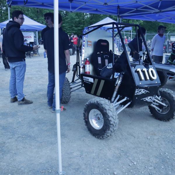 In the paddock