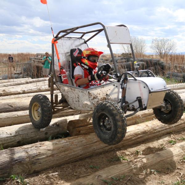 Rockin Logs
