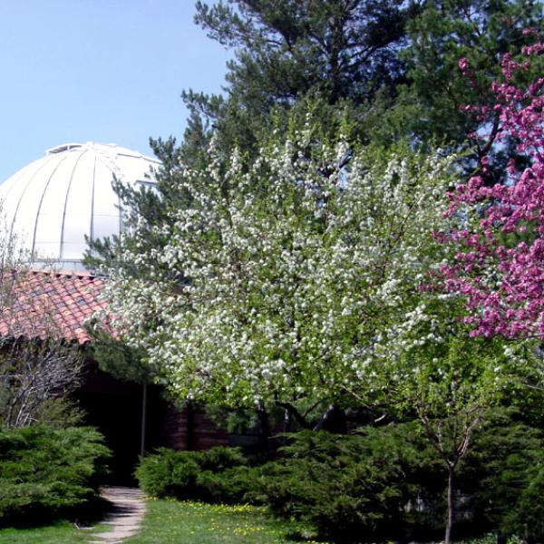 Springtime at the Observatory (2005) Photo credit Keith Gleason, Sommers-Bausch Observatory