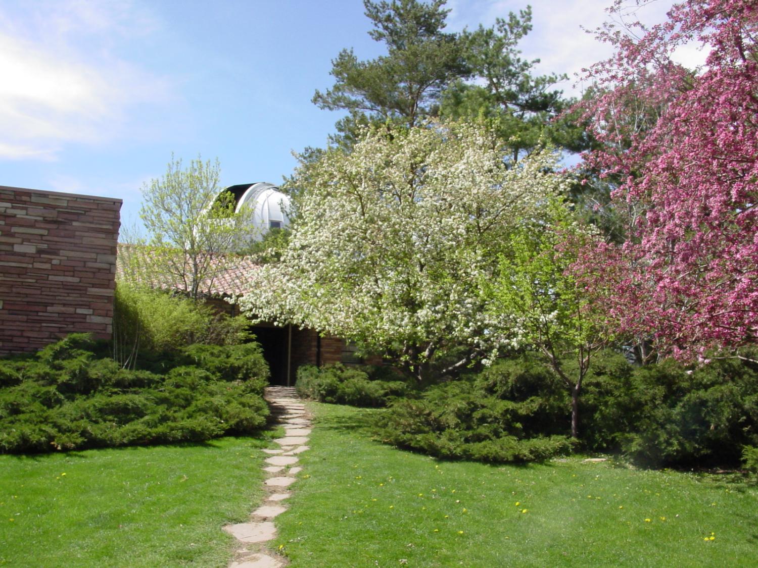 SBO in Spring