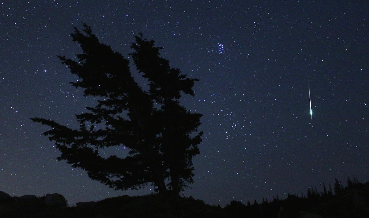 View of Night Sky with tree and meteor