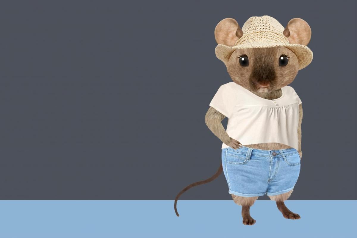 mice
