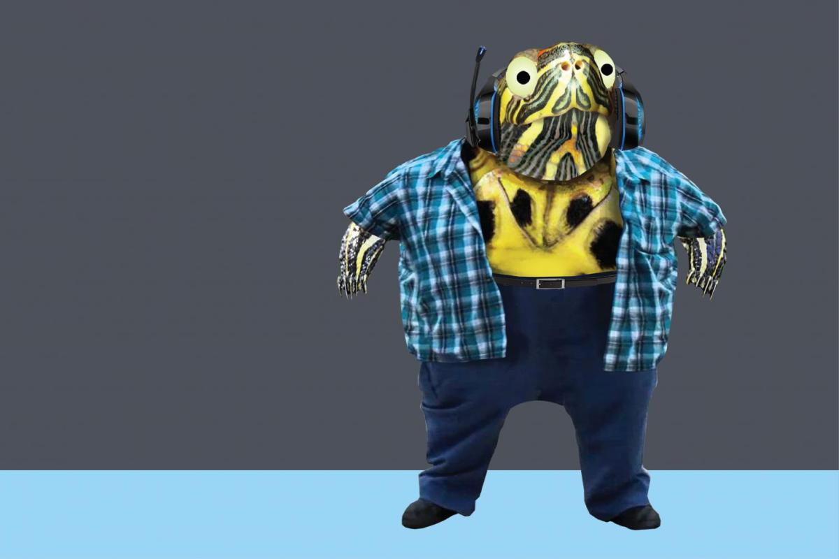 Turtle