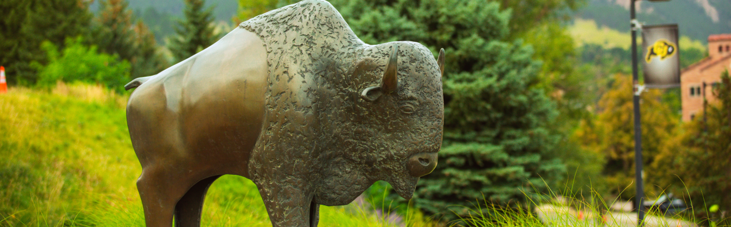 Ralphie statue on campus