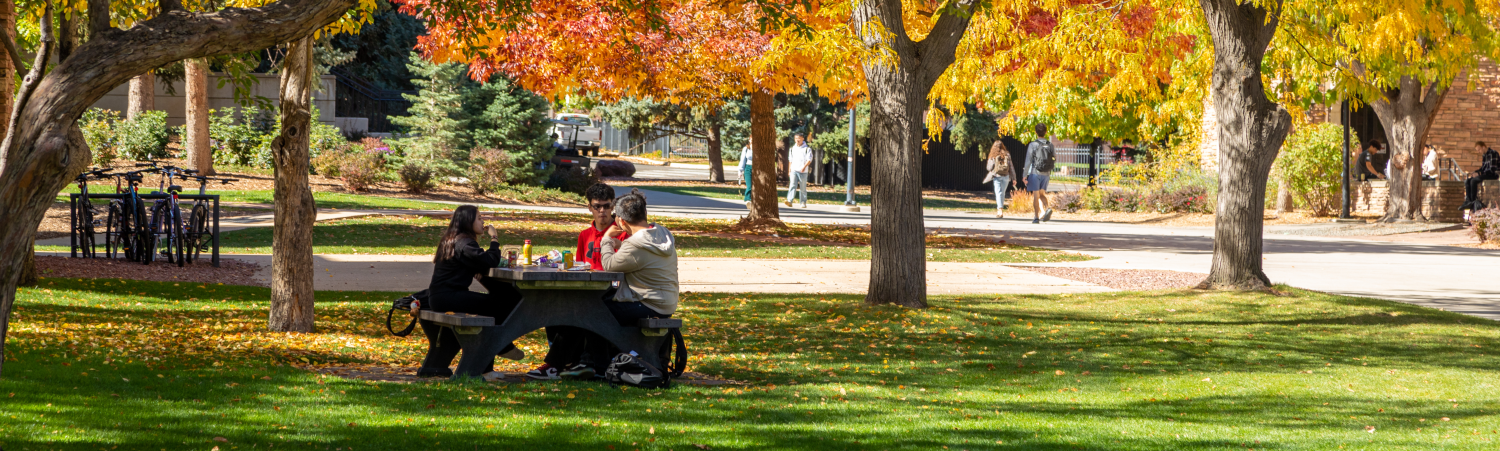 Students on campus