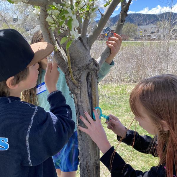 children looking at tree trunk with magnifying glasses