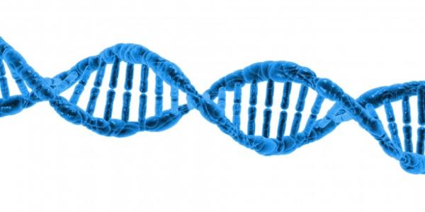 dna graphic 