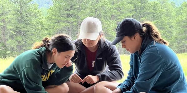 Participants explore how forest structure influences the intensity and spread of wildfire.