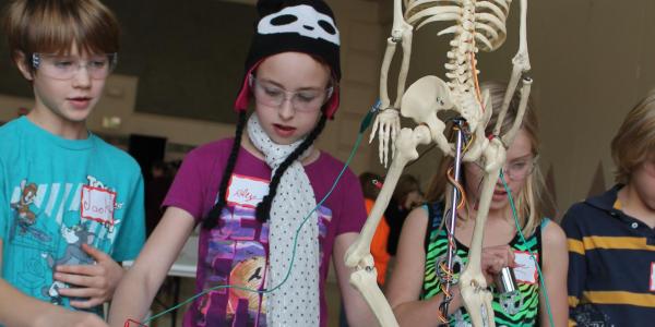 students playing with a skeleton model attached to muscle wire 