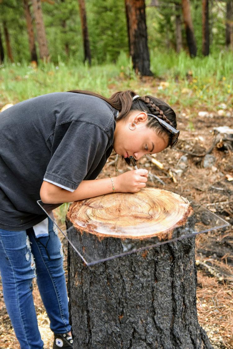 student creating tree ring art