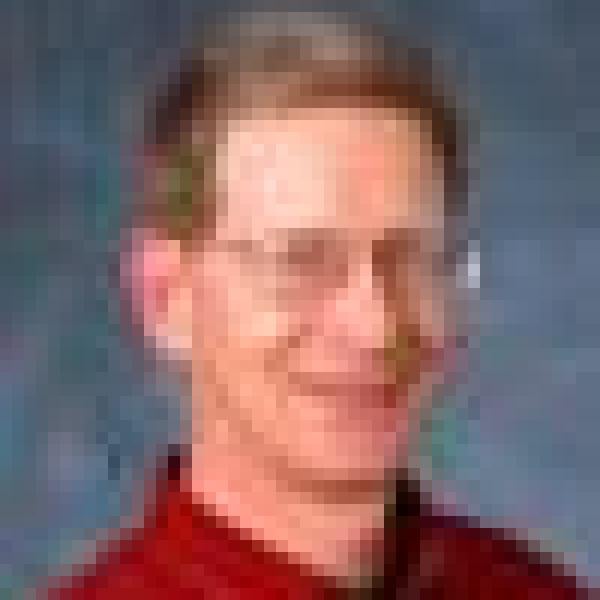 Michael Dubson, Professor