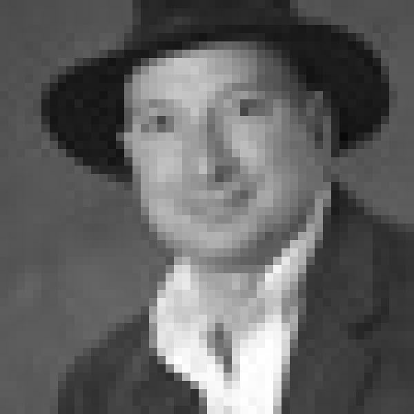 Noah Finkelstein, Professor