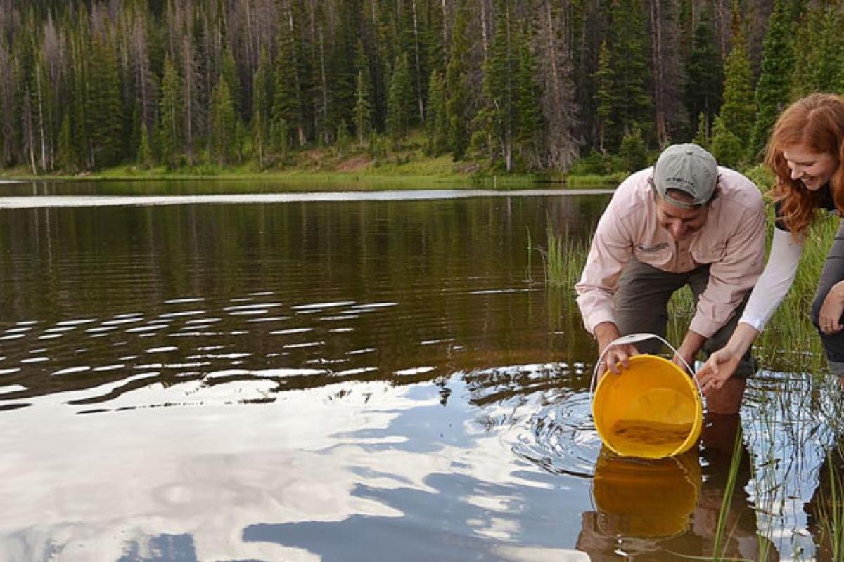 Students collecting samples in a river