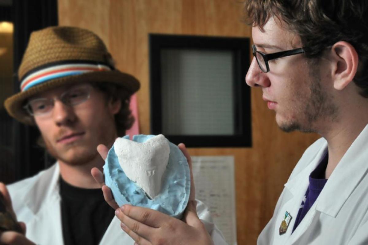 Students looking at fossils