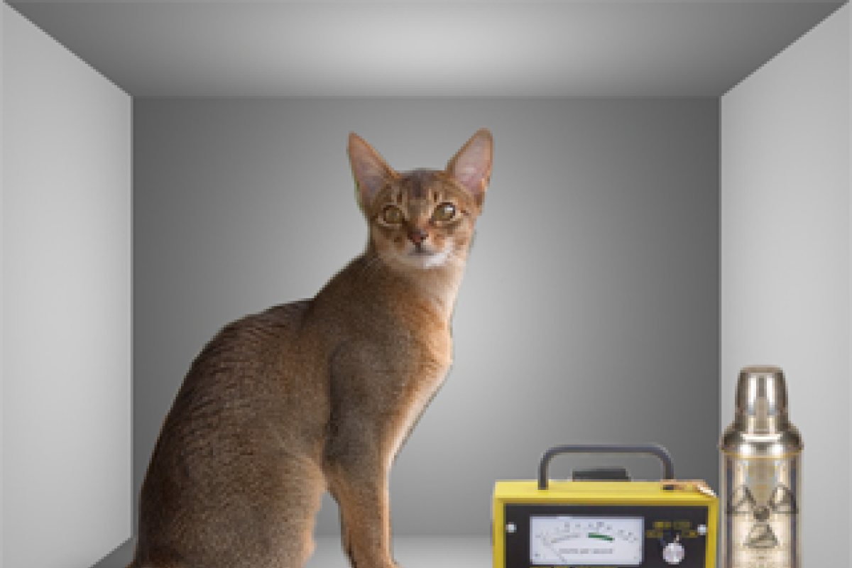 cat next to some physics devices